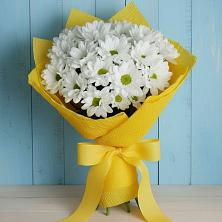 Букет цветов из:  Хризантемы в Новоивановской