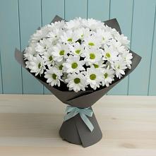 Букет цветов из:  Хризантемы #REPLACE_PRED# Новоивановской