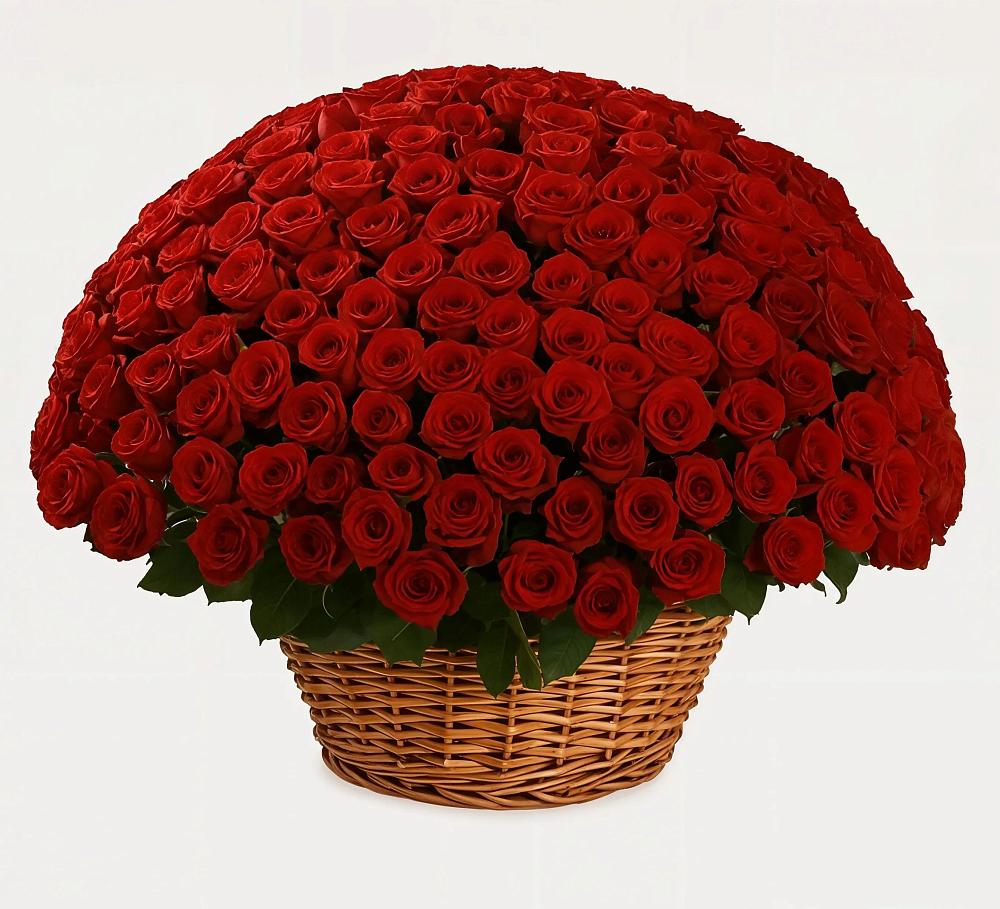 Премиум букет из: Розы в Новоивановской