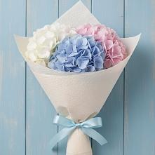 Букет цветов из:  Гортензия #REPLACE_PRED# Новоивановской