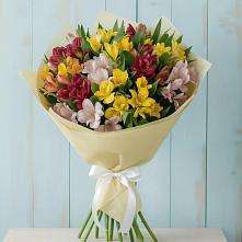 Букет цветов из:  Альстромерии в Новоивановской