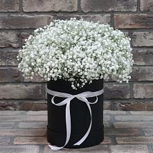 Цветочная композиция из Гипсофила в шляпной коробке в Новоивановской
