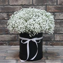 Цветочная композиция из Гипсофила в шляпной коробке в Новоивановской